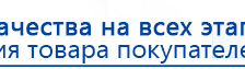 СКЭНАР-1-НТ (исполнение 02.1) Скэнар Про Плюс купить в Междуреченске, Аппараты Скэнар купить в Междуреченске, Дэнас официальный сайт denasolm.ru