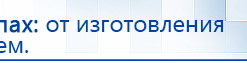 СКЭНАР-1-НТ (исполнение 01)  купить в Междуреченске, Аппараты Скэнар купить в Междуреченске, Дэнас официальный сайт denasolm.ru