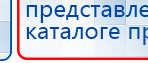 СКЭНАР-1-НТ (исполнение 02.1) Скэнар Про Плюс купить в Междуреченске, Аппараты Скэнар купить в Междуреченске, Дэнас официальный сайт denasolm.ru