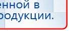 СКЭНАР-1-НТ (исполнение 01 VO) Скэнар Мастер купить в Междуреченске, Аппараты Скэнар купить в Междуреченске, Дэнас официальный сайт denasolm.ru